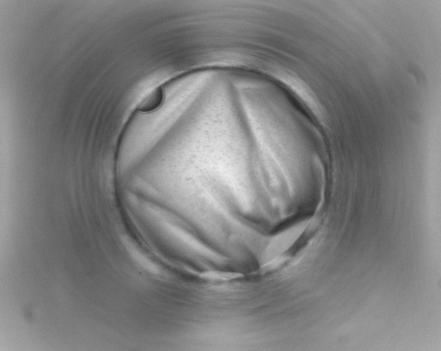 X0000115730850200911251936