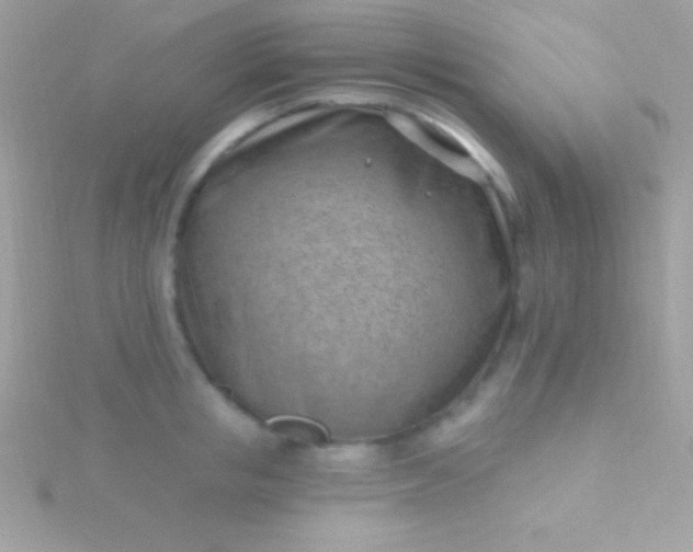 X0000115730853200911251936