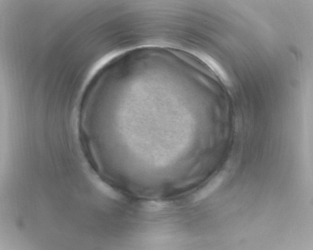 X0000115730854200911251936