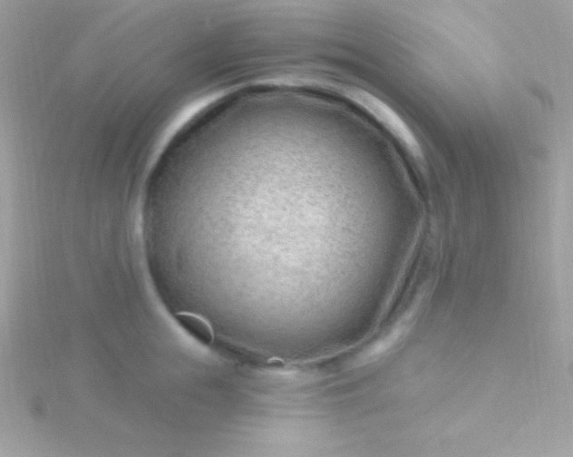 X0000115730855200911251936