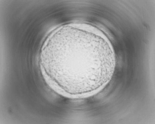 X0000115730856200911251936