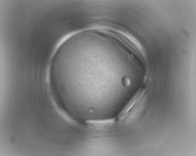 X0000115730862200911251937