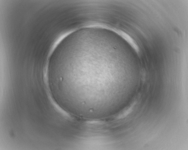 X0000115730863200911251937