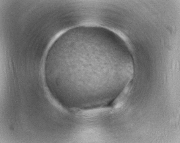 X0000115730864200911251937