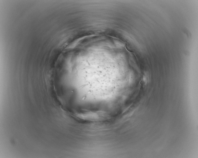 X0000115730867200911251936