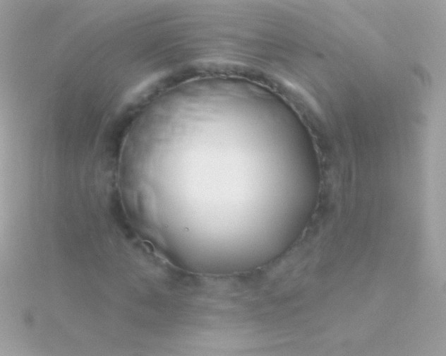 X0000115730870200911251936