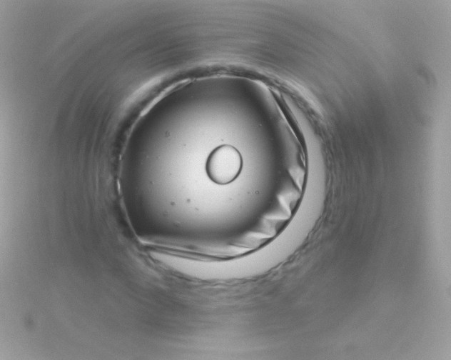 X0000115730872200911251936