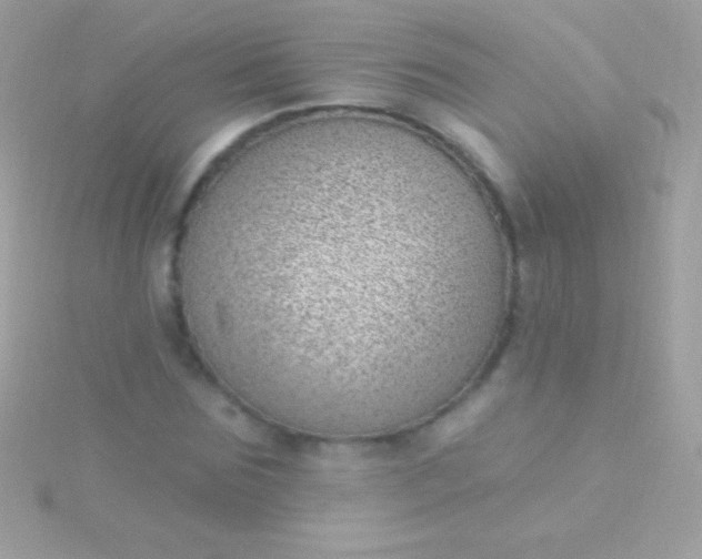 X0000115730875200911251936