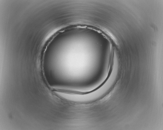 X0000115730877200911251936