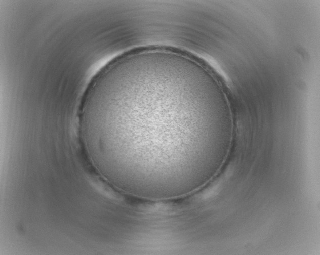 X0000115730879200911251936