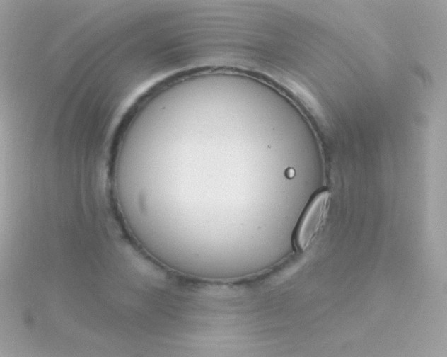 X0000115730880200911251936