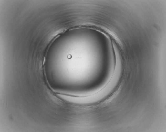 X0000115730881200911251936