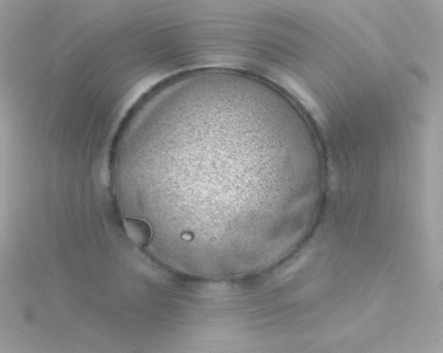 X0000115730883200911251936