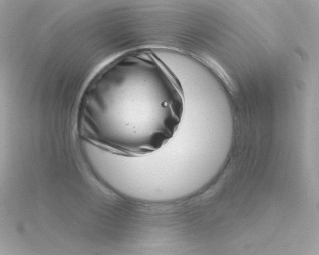 X0000115730884200911251936