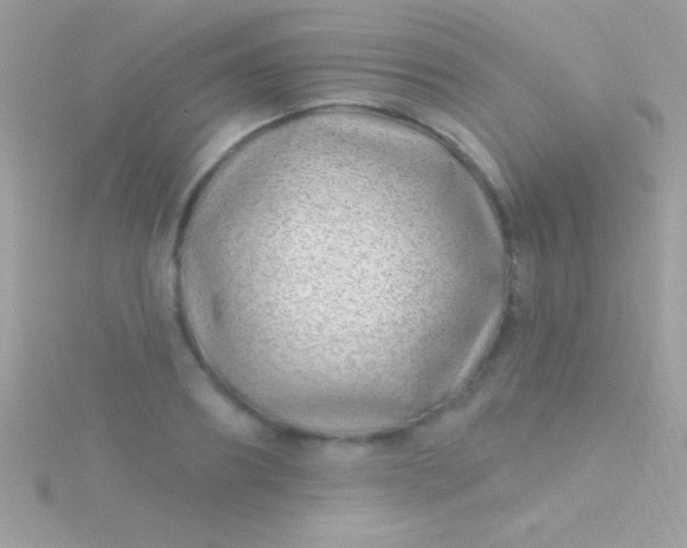 X0000115730890200911251935