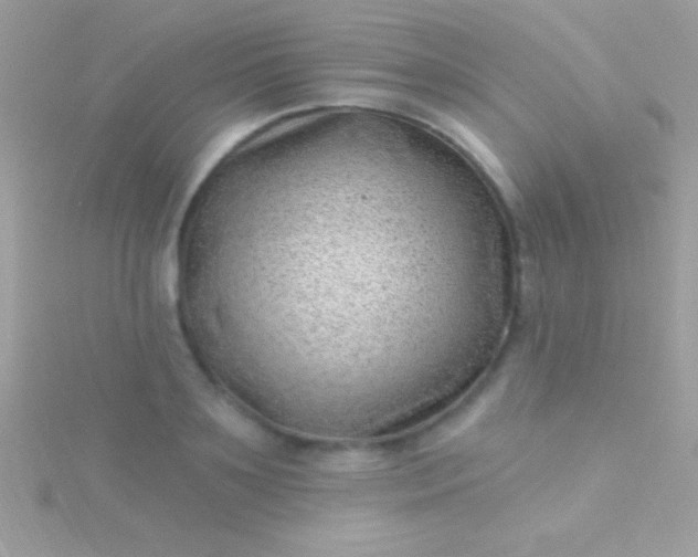 X0000115730891200911251935