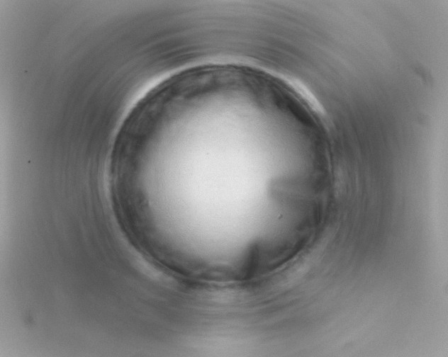 X0000115730895200911251935