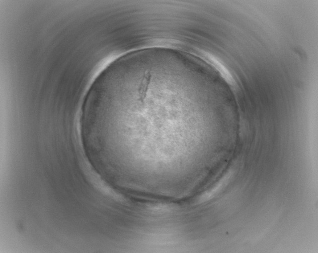 X0000115730899200911251935