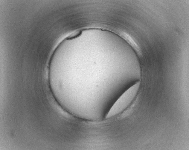 X0000115730900200911251935