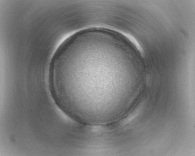 X0000115730903200911251935