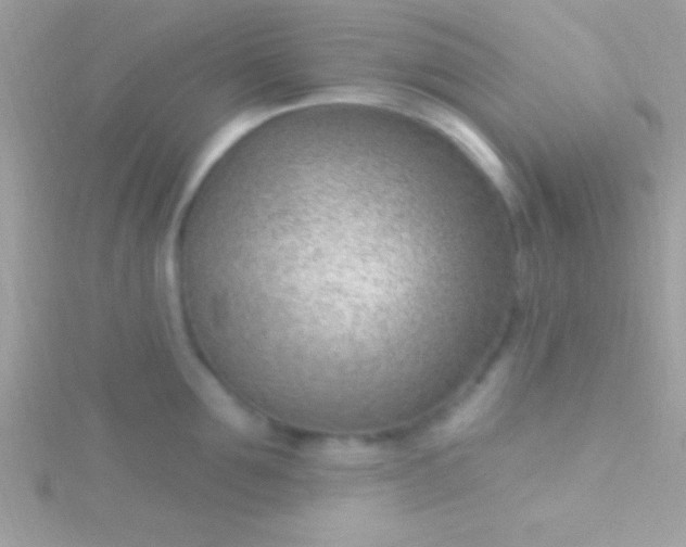 X0000115730907200911251935