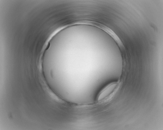 X0000115730908200911251935