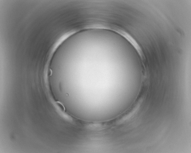 X0000115730909200911251935