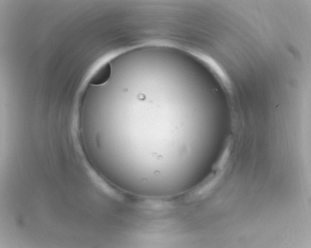 X0000115730910200911251935