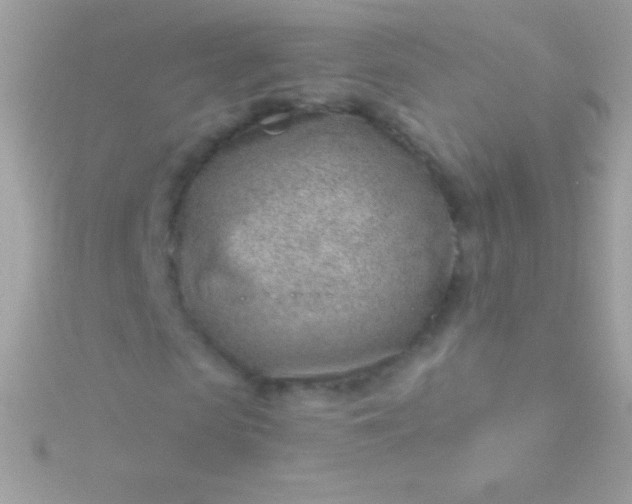 X0000115730913200911251935