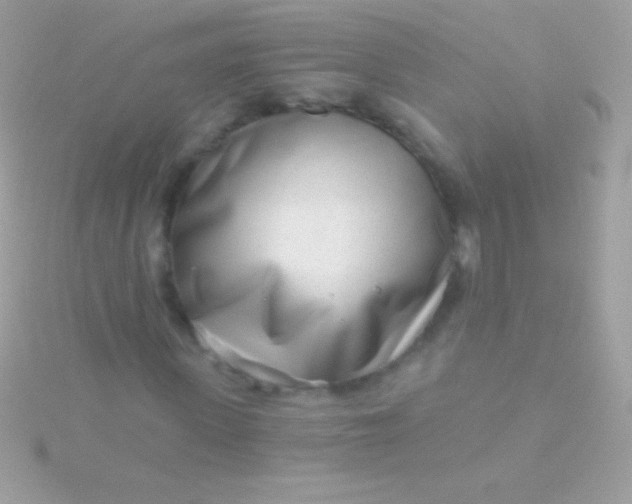 X0000115730915200911251935