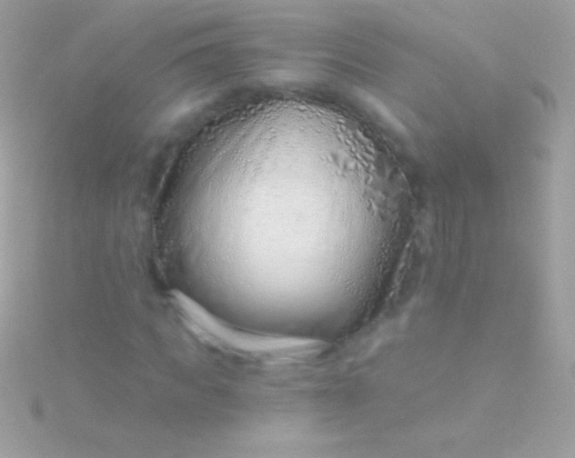 X0000115730917200911251935