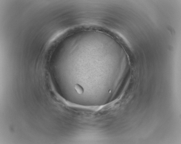 X0000115730919200911251935