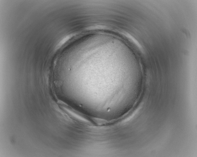 X0000115730921200911251935