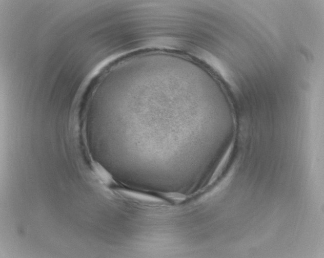 X0000115730923200911251935