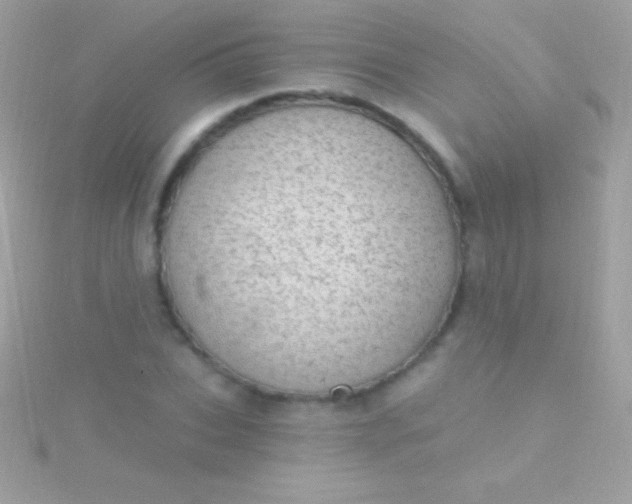 X0000115730927200911251935