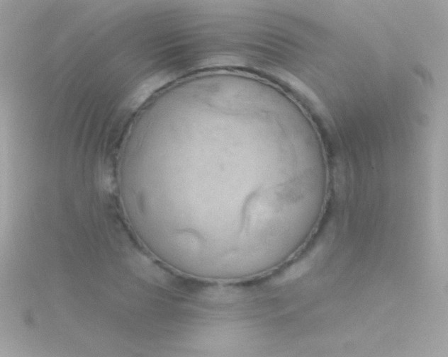 X0000115730929200911251935