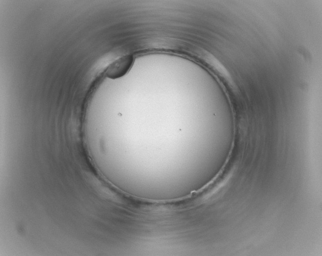 X0000115730930200911251935