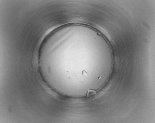 X0000115730931200911251935