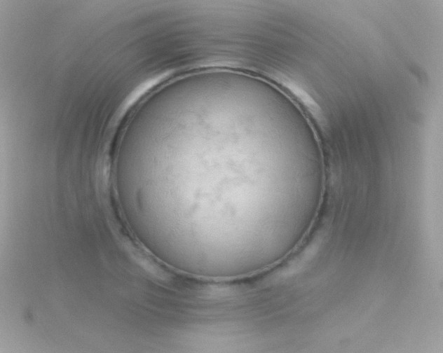 X0000115730933200911251935