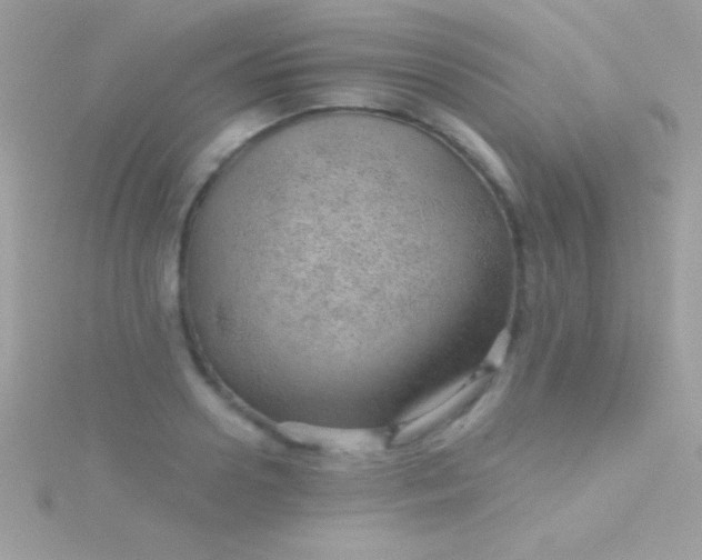 X0000115730938200911251935