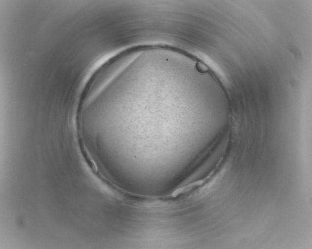 X0000115730943200911251935