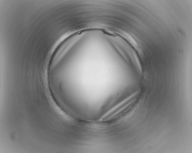 X0000115730947200911251935