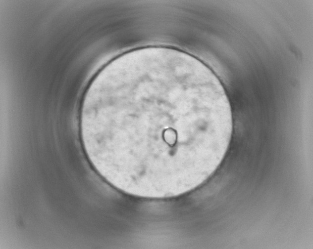 X0000115730950200911251935