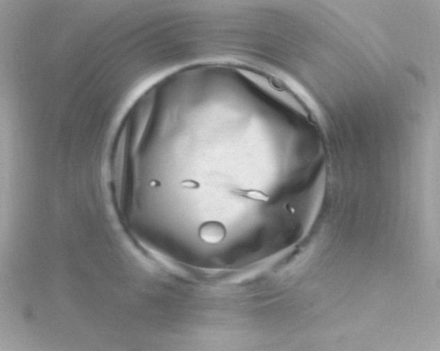 X0000115730951200911251935