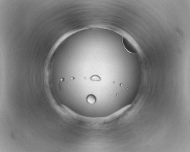 X0000115730955200911251935