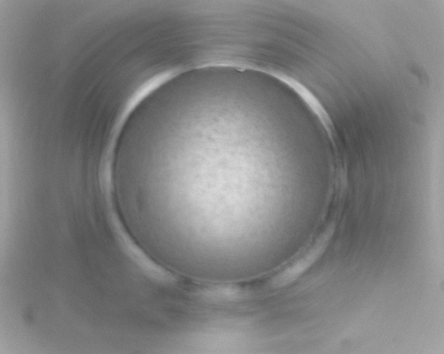 X0000115730957200911251935