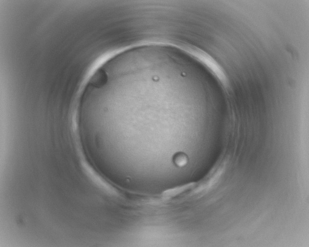 X0000115730958200911251935