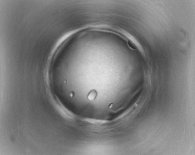 X0000115730959200911251935