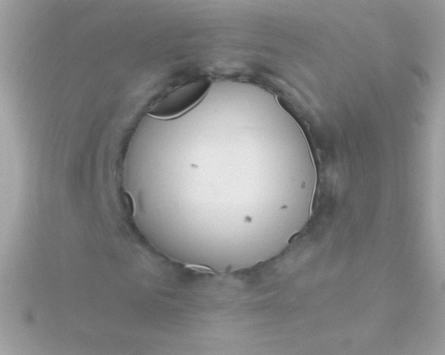 X0000115730961200911251935