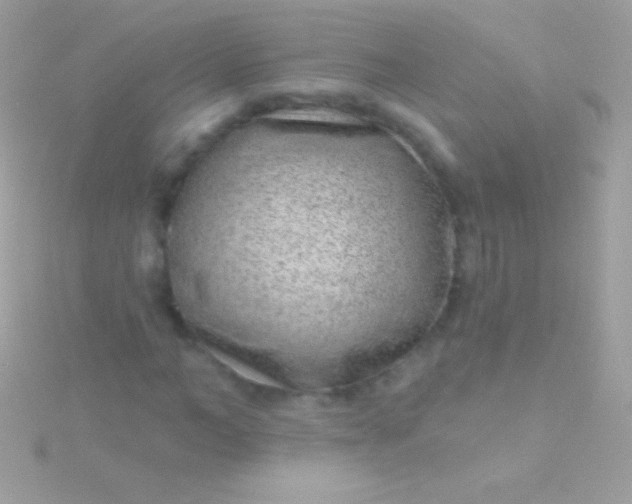 X0000115730966200911251935